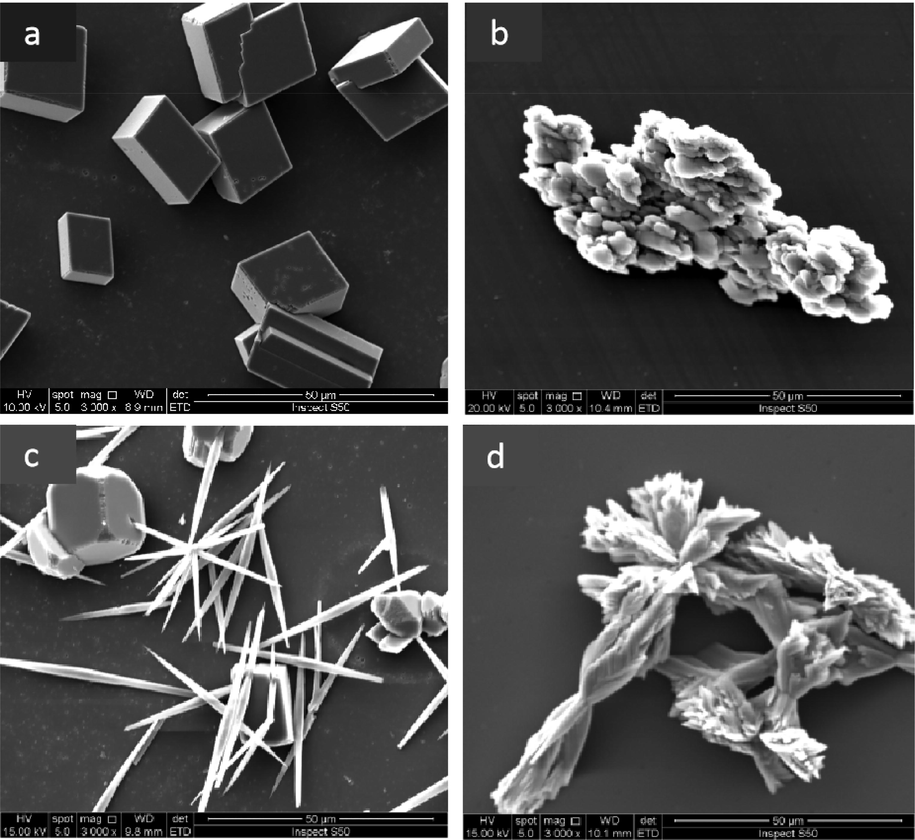 SEM images of CaCO3 under different conditions: a) the blank scale sample, b) the scale sample with IA/SMAS, c) scale sample under an electrostatic field, and d) scale sample exposed to an electrostatic field and IA/SMAS.