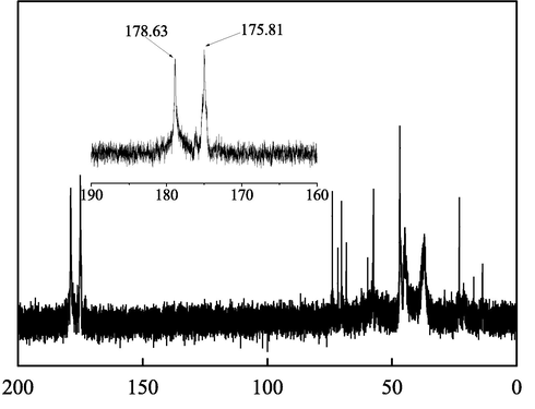 13C NMR spectrum of IA/SMAS.