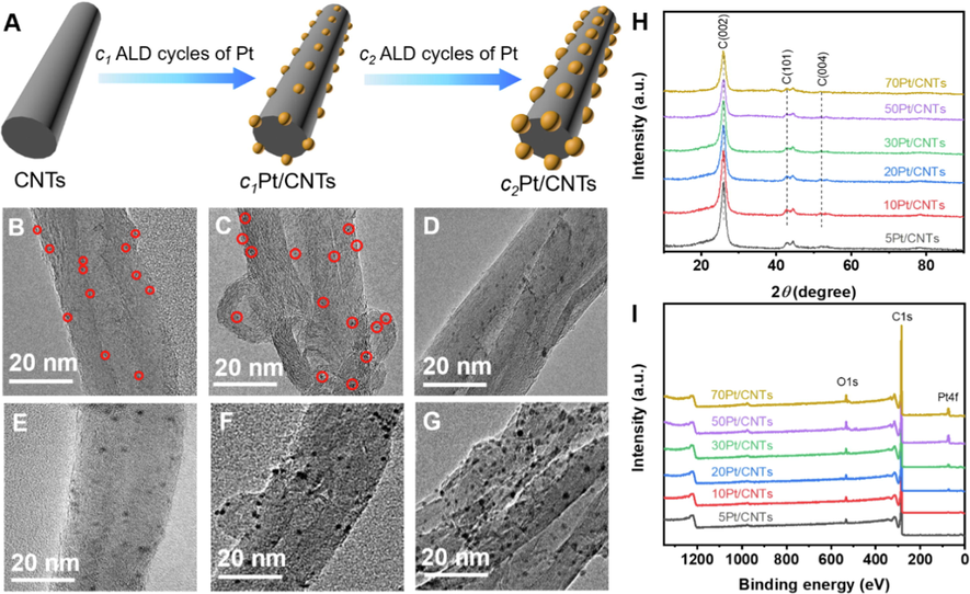 Synthesis and structural characterizations of Pt/CNTs nanozymes. (A) Illustration of the preparation process of Pt/CNTs nanozymes. (B-G) TEM images of 5Pt/CNTs, 10Pt/CNTs, 20Pt/CNTs, 30Pt/CNTs, 50Pt/CNTs and 70Pt/CNTs, respectively. Note: red circles refer to Pt nanoparticles. (H, I) XRD patterns and XPS survey spectra of cPt/CNTs nanozymes.