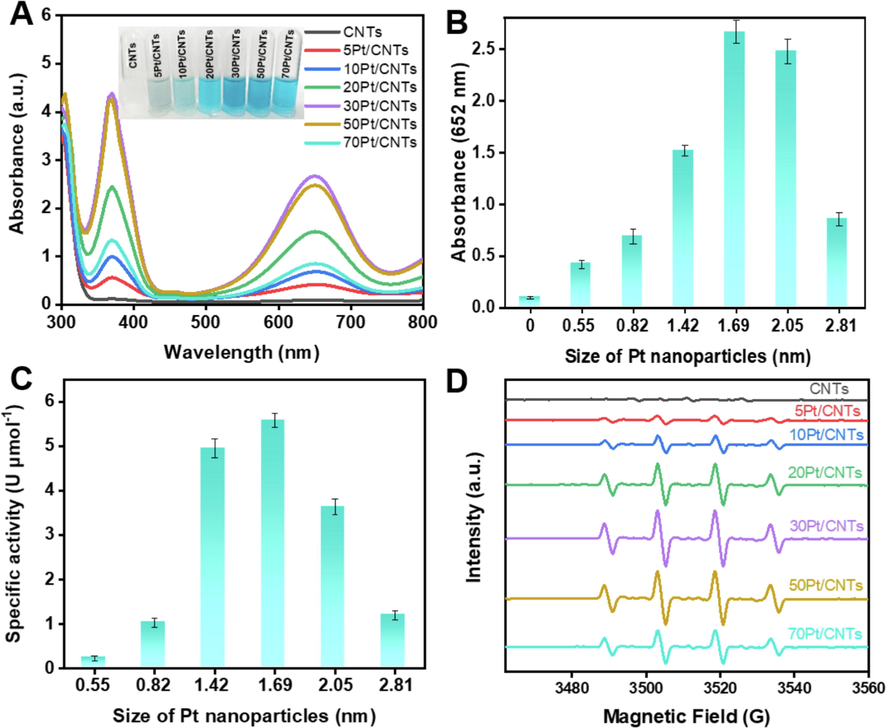 POD-like property of the cPt/CNTs nanozymes. (A) UV–vis spectroscopy of cPt/CNTs (c = 0, 5, 10, 20, 30, 50, and 70) nanozymes (the same molar amount of Pt). Inserted images (tubes) represent the visual color changes of TMB. (B) The absorption value of TMB at 652 nm compared to different sizes of Pt nanoparticles. (C) The SA of cPt/CNTs nanozymes at 652 nm compared to different sizes of Pt nanoparticles. (D) DMPO spin-trapping ESR spectra of the ultrasmall TA-Ag nanozyme for H2O2.