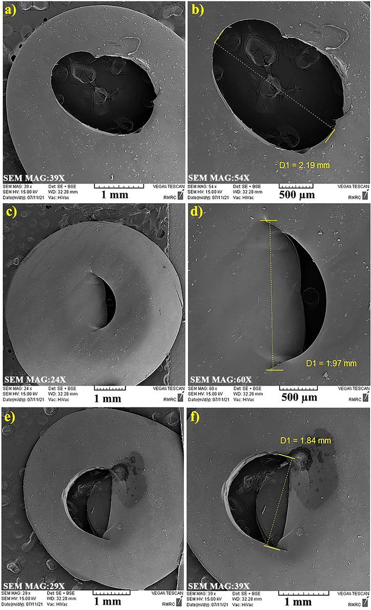 SEM images from outside of prepared Gelatin capsule (a,b), gelatin/PEG capsule (c,d) and HPMC capsules (e,f).