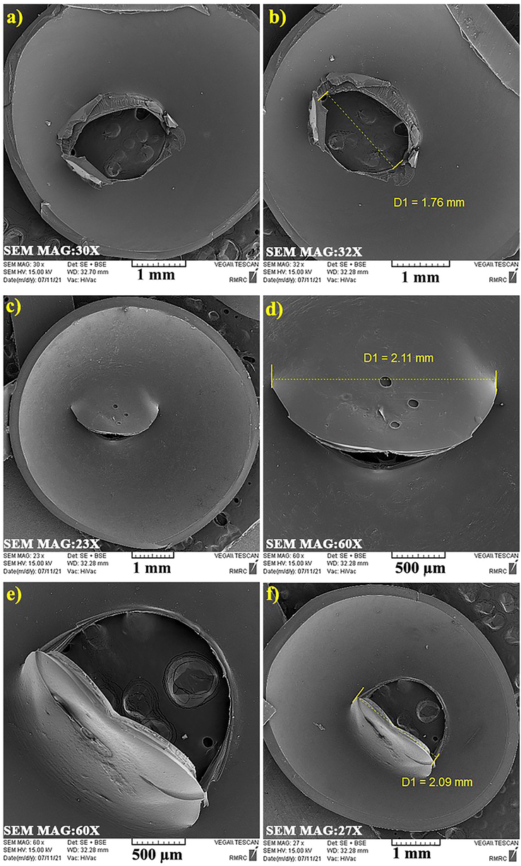 SEM images from inside of prepared gelatin/PEG capsule (a,b), Gelatin capsule (c,d) and HPMC capsules (e,f).