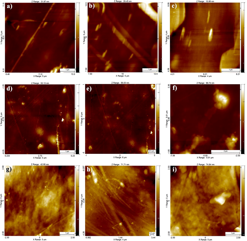 2D AFM surface plots of (a-c) gelatin (d-f) gelatin/PEG and (g-i) HPMC capsules.