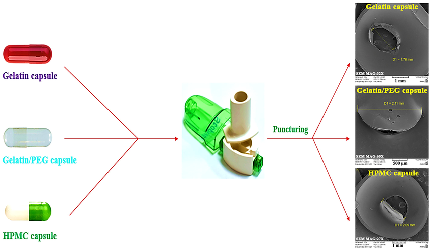 A schematic representation for the puncturing process of gelatin, gelatin/PEG and HPMC capsules and obtaining SEM images.