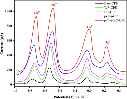 Square wave voltammograms of 0.1 mM Cd(II), Pb(II), Cu(II), and Hg(II) in 0.1 M ABS (pH 4.5) on the PCE, WS-CPE, BC-CPE, p-Tyr-CPE, and p-Tyr-BC-CPE, (all potentials in reference to the SCE).