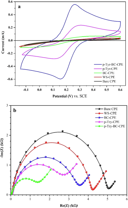 CV voltammograms (a) and EIS Nyquist plot (b) for bare CPE, and WS-CPE, BC- CPE, p-Tyr-CPE, p-Tyr-BC-CPE coated electrodes in 1.0 mM [Fe(CN)6]3-/4- containing 0.5 mM KCl.