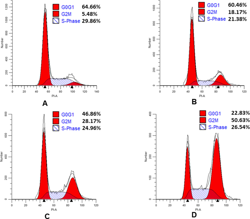 Effects of compound 9s on cell cycle. HeLa cells lines treated with compound 9s for 24 h. (A) Control; (B) 9s, 2-fold IC50; (C) 9s, 5-fold IC50; (D) 9s, 10-fold IC50.