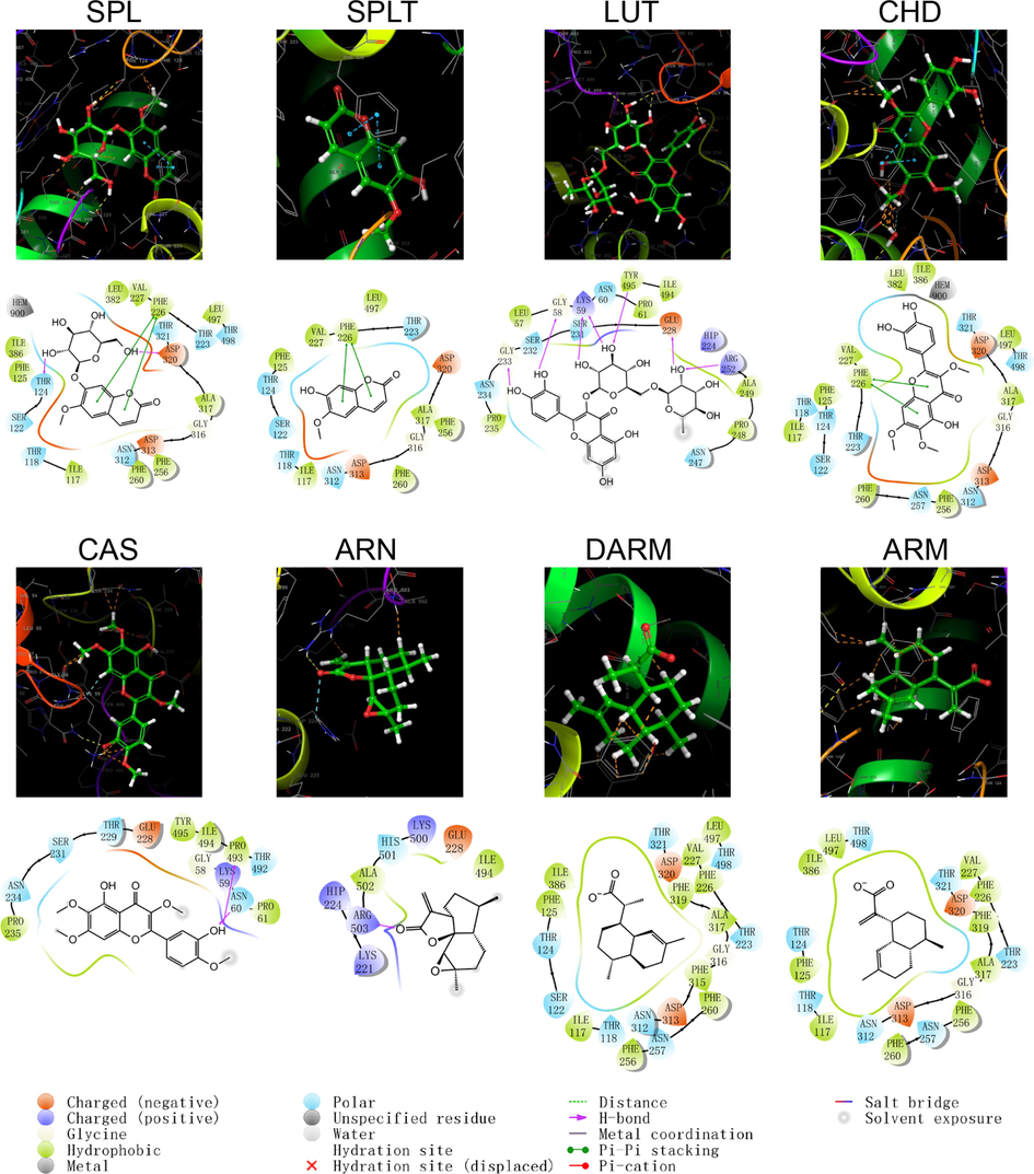 Schematic structure and pattern diagram of the molecular docking of the active components of A. annua with CYP450 1A2 (PDB ID 2HI4).
