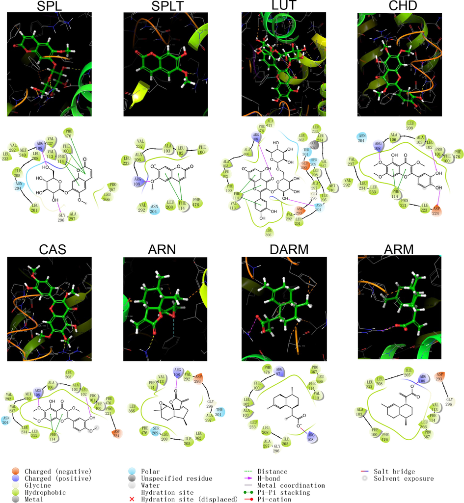 Schematic structure and pattern diagram of the molecular docking of the active components of A. annua with CYP450 2C9 (PDB ID 5W0C).