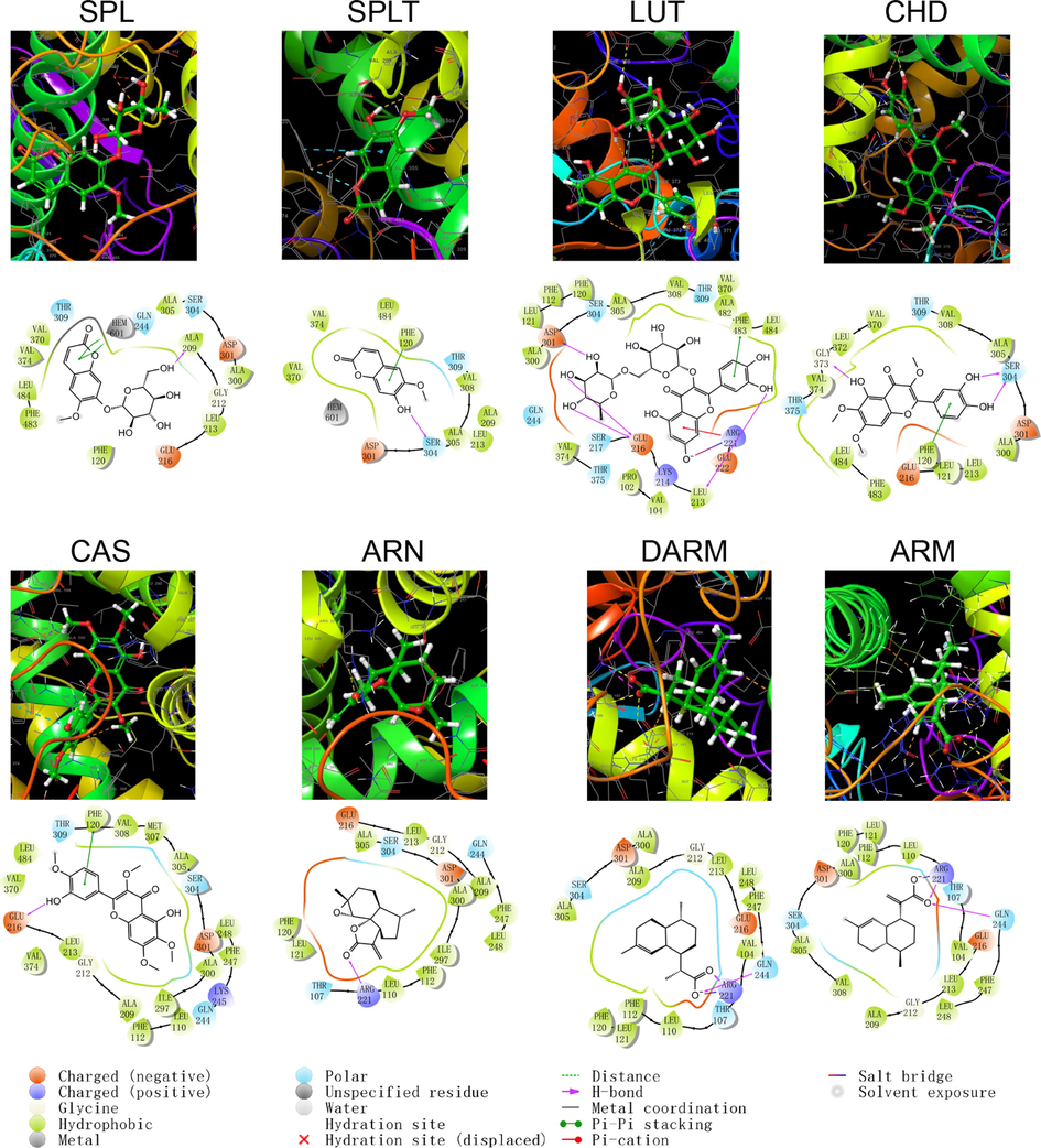 Schematic structure and pattern diagram of the molecular docking of the active components of A. annua with CYP450 2D6 (PDB ID 5TFT).