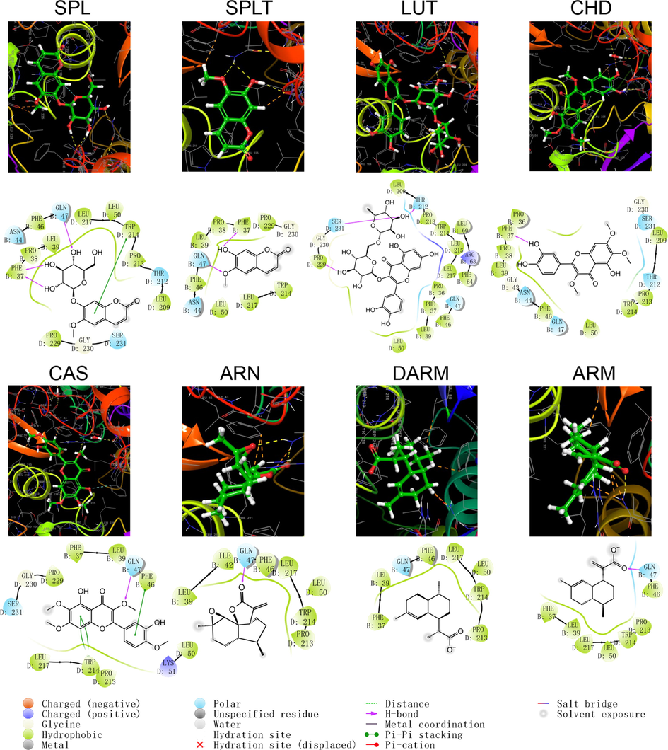 Schematic structure and pattern diagram of the molecular docking of the active components of A. annua with CYP450 2E1 (PDB ID 3T3Z).