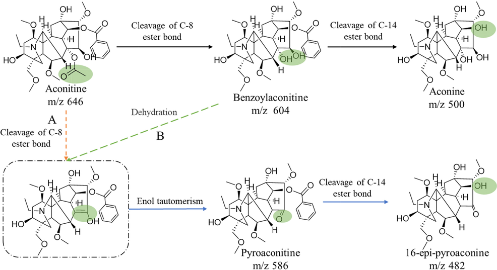 Possible hydrolysis pathways of aconitine.