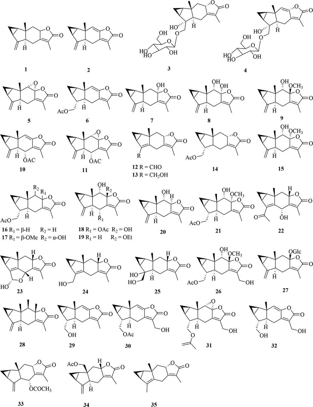 Structures of lindenane sesquiterpenes and their polymers in genus Chloranthus.