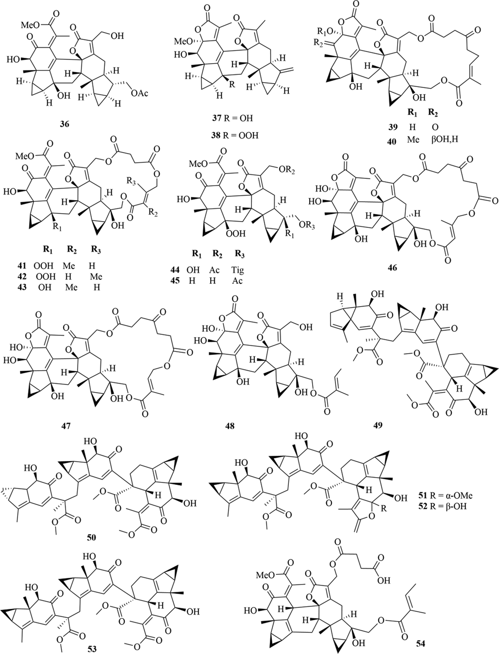 Structures of lindenane sesquiterpenes and their polymers in genus Chloranthus.