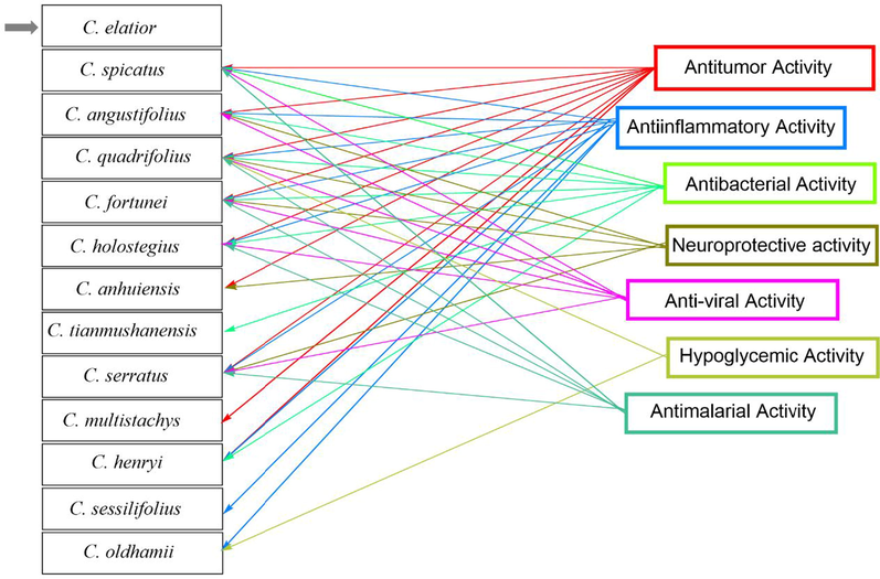 The pharmacological activities of different Genus Chloranthus species.