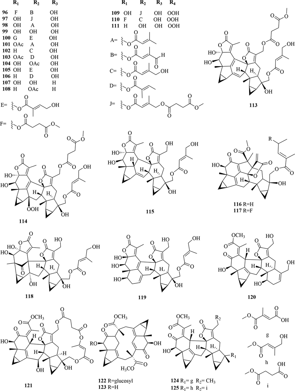 Structures of lindenane sesquiterpenes and their polymers in genus Chloranthus.