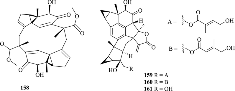 Structures of lindenane sesquiterpenes and their polymers in genus Chloranthus.