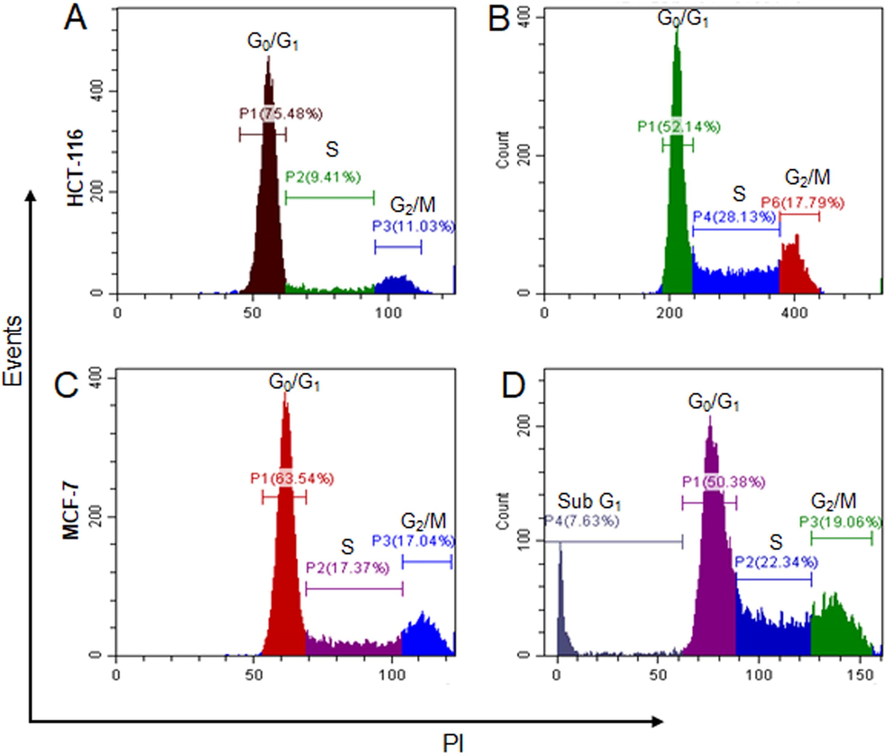 Different phases of HCT-116 and MCF-7 cells before and after treatment with chitinase. (A) and (C) represented cell cycle phases of HCT-116 and MCF-7 cells before treatment with the chitinase, respectively. (B) and (D) represented cell cycle phases of HCT-116 and MCF-7 cells after treatment with the chitinase, respectively.