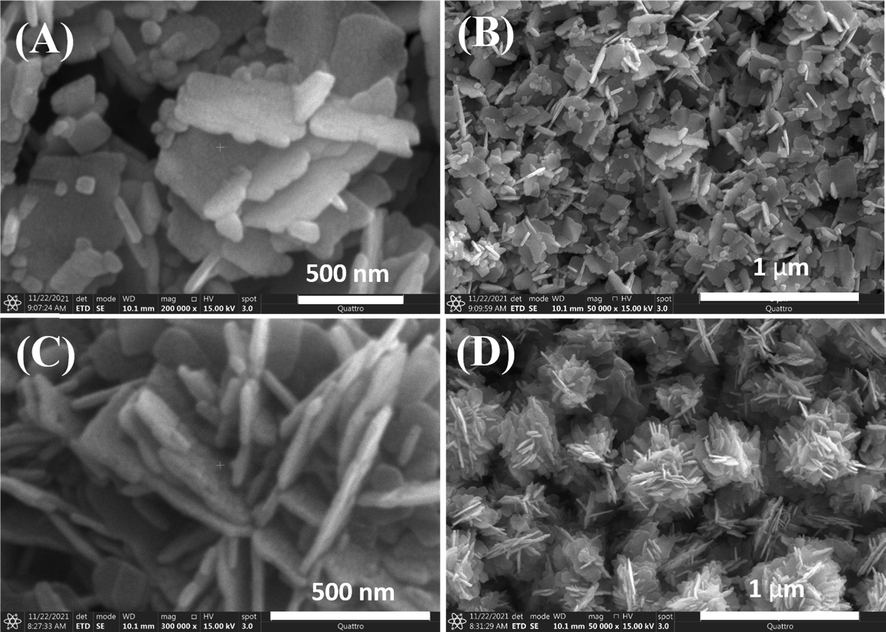 FESEM images of the product synthesized without jute stick extract (ZnO NFs) at different magnifications; (A), (B) and of the product synthesized with jute stick extract (J–ZnO NFs) at different magnifications; (C) and (D).