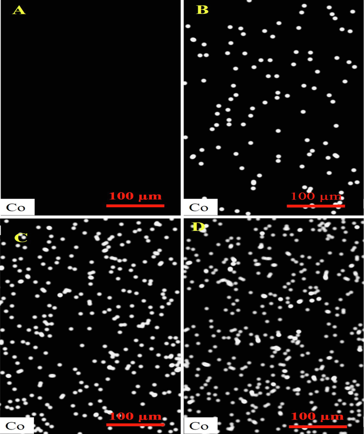 EDX elemental analysis of the fabricated nanofibrous composites containing 0 (A), 5 (B), 10 (C), and 15 wt% (D) Cobalt-doped HAp.