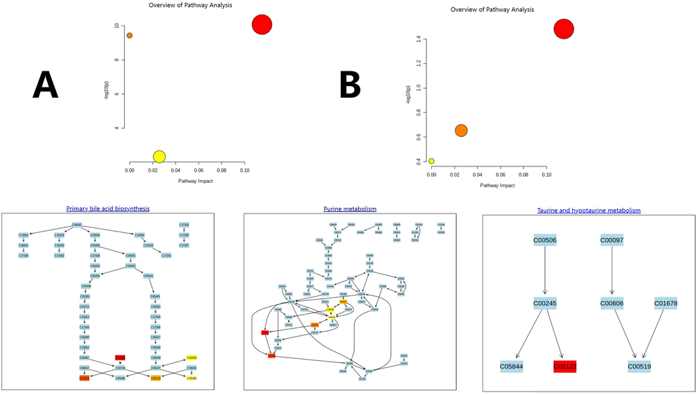 Overview of the metabolomic pathway. A. High-fat diet-induced hyperlipidemia. B. YL treatment.