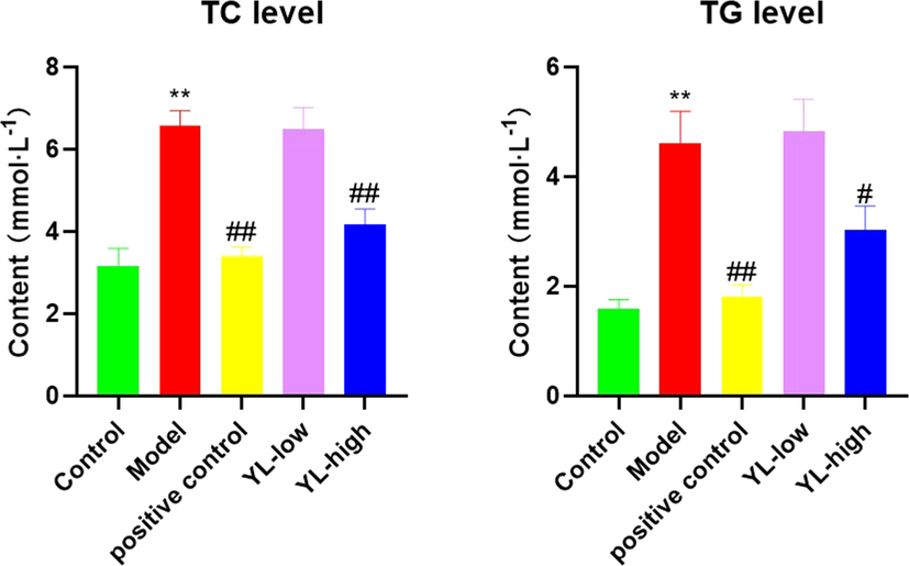 Lipid levels (both TC and TG) in each experimental group, compared to control, *<0.05, **<0.01; compared to model, #<0.05, ##<0.01.