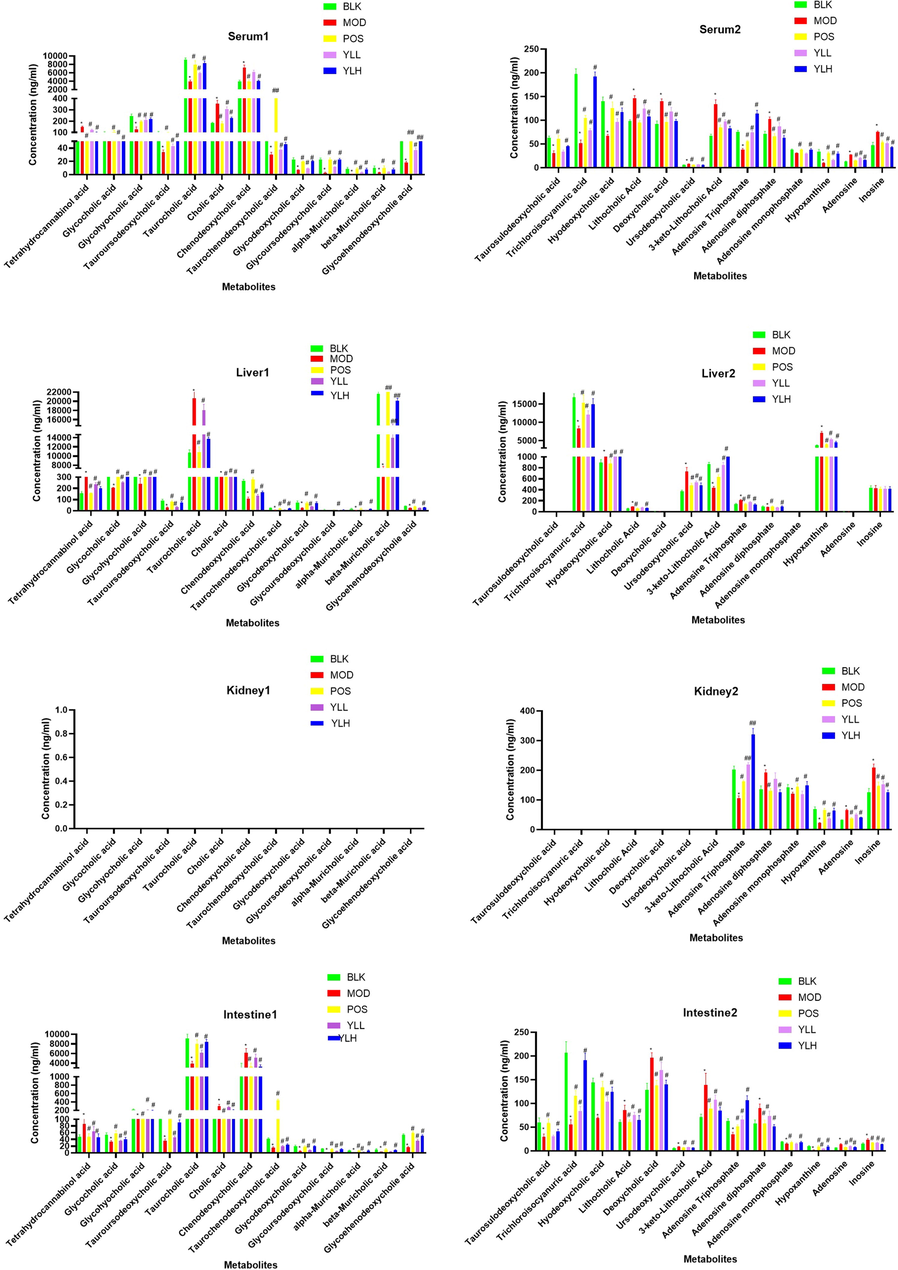 Metabolite content in each experimental group in different organs, compared to control, *<0.05, **<0.01; compared to model, #<0.05, ##<0.01.