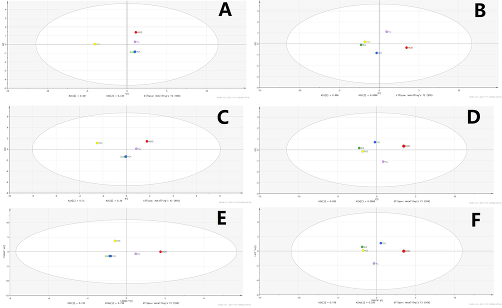 Statistical analysis of liver samples. A: PCA, positive ion. B: PCA, negative ion. C: PLS-DA, positive ion. D: PLS-DA, negative ion. E: OPLS-DA, positive ion. F: OPLS-DA, negative ion; BLK: blank (control); MOD: model; POS: positive control; YLL: YL low dose; YLH: YL high dose.