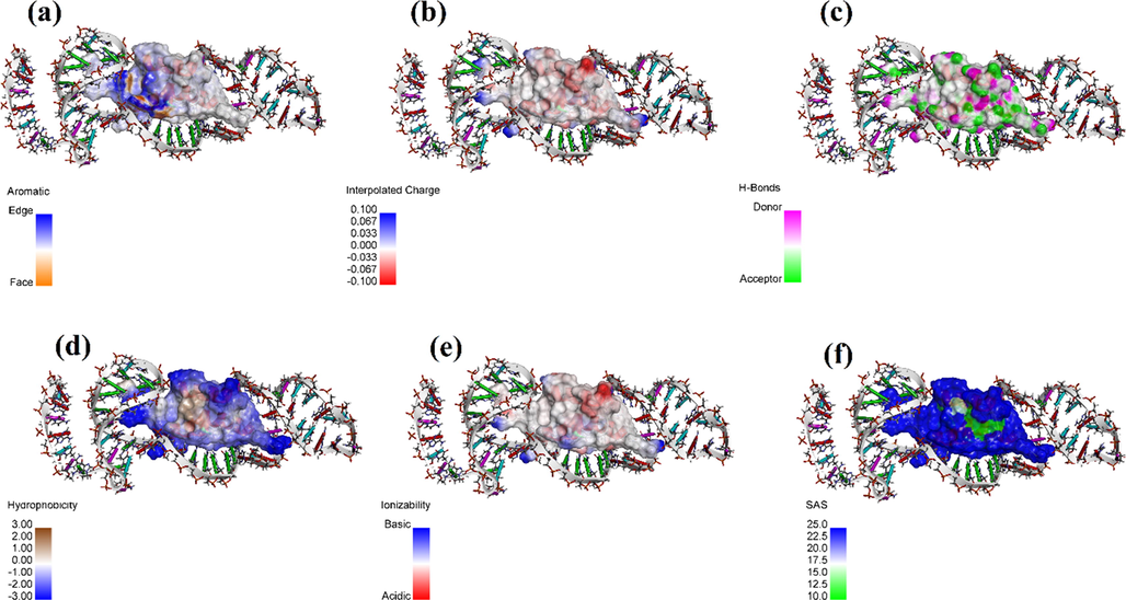 Protein A-PA63 Aptamer complexes surface of interactions with regards to (a) Aromatic interactions, (b) Intercalated charges, (c) Hydrogen bonds, (d) Hydrophobicity, (e) Ionizablity, and (f) Solvent accessibility.