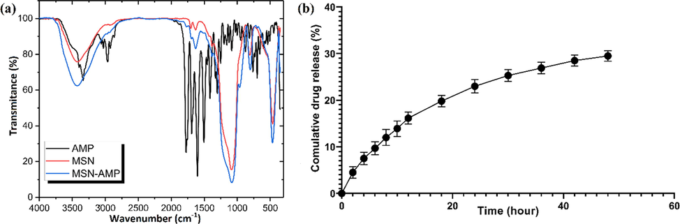 Loading and release assays of Ampicillin into the nanosystem, (a) The results of FTIR-DR analysis of MSNs, Ampicillin, and the ampicillin-loaded nanosystem, and (b) Cumulative Ampicillin release from the three-components nanosystem for 48 h.