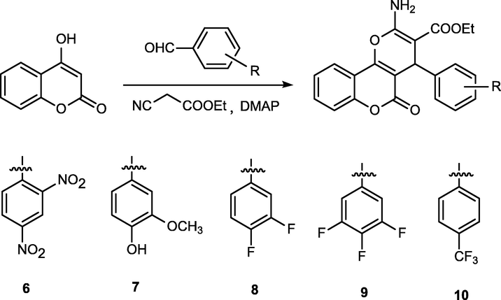 Synthetic route of compounds 6–10.