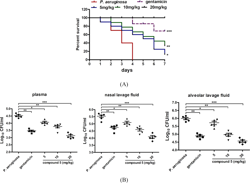 Compound 5 increased the survival rate of the P. aeruginosa pneumonia infection mice and reduced the P. aeruginosa CFU numbers. 60 BALB/c mice were divided into control group (n = 10), model group (n = 10), gentamicin treatment group (n = 10), compound 5 treatment groups (5, 10, 20 mg/kg, n = 10). After the indicted treatment, the survival rate of the infected mice was measured (A) and the bacterial burden in the plasma, nasal lavage fluid and alveolar lavage fluid was determined with colony plate counting assay (B).