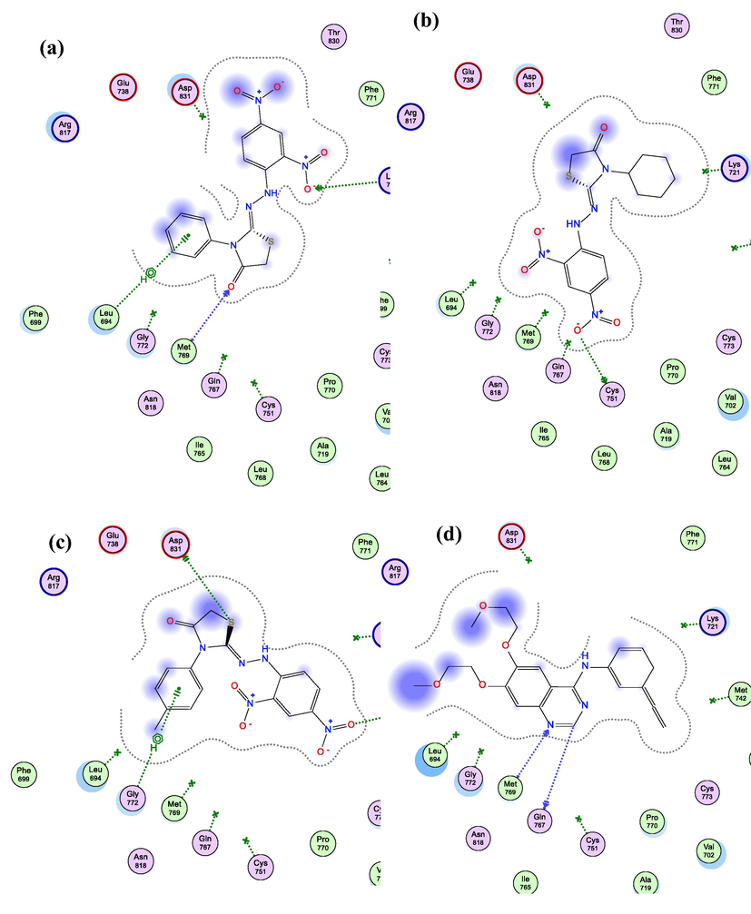 2D Interaction diagram of 5d (a), 5e (b), 5f (c), & Erlotinib (d) within EGFR (PDB ID: 1M17) active site showing H-bonding (green and blue arrows), pi-H (green dotted-line), and proximity contour around each molecule (grey dotted-line).