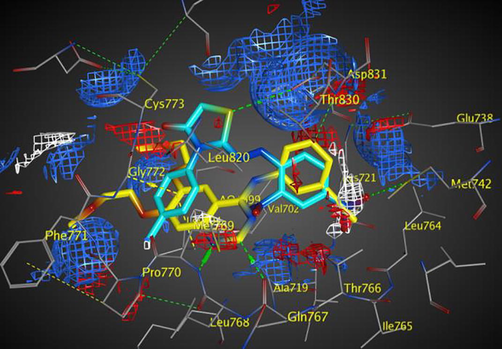 Electrostatic map of EGFR showing a good overlay of compound 5f (cyan) with erlotinib (yellow) and three binding hot spots of the active site: Blue and red contours of H-donor and acceptor favorable region, respectively (H-donors shown in green dotted-lines and H-acceptor shown in yellow dotted-lines), in addition to the white contour of hydrophobic interactions (notice perfect overlay of the nitro group of 5f with this binding hot spot).