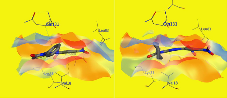 Schematic diagram of VWD interaction surface of both 5d (right) and 5e (left) within CDK2 (PDB ID: 4KD1) active site: showing compound 5d hydrophobic interactions with Gln131 and Val18 (green dotted line), which both are missing with compound 5e (N.B. most of the active site amino acids have been hidden to simplify and clarify the diagram).