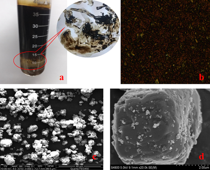 SEM images of the solid nanoparticles on the electrode plate a. Intermediate layer material after centrifugation of the produced liquid; b. The intermediate layer material under a microscope; c. Solid particles after separation of the intermediate layer material; d. SEM of solid particles.