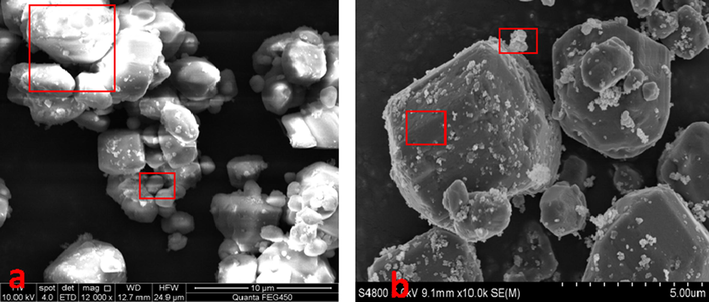 SEM images and sample area of element composition of solid particles in the middle layer after separation.