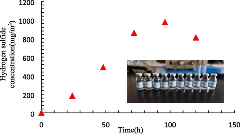 The distribution of the hydrogen sulfide concentration in the reactor.