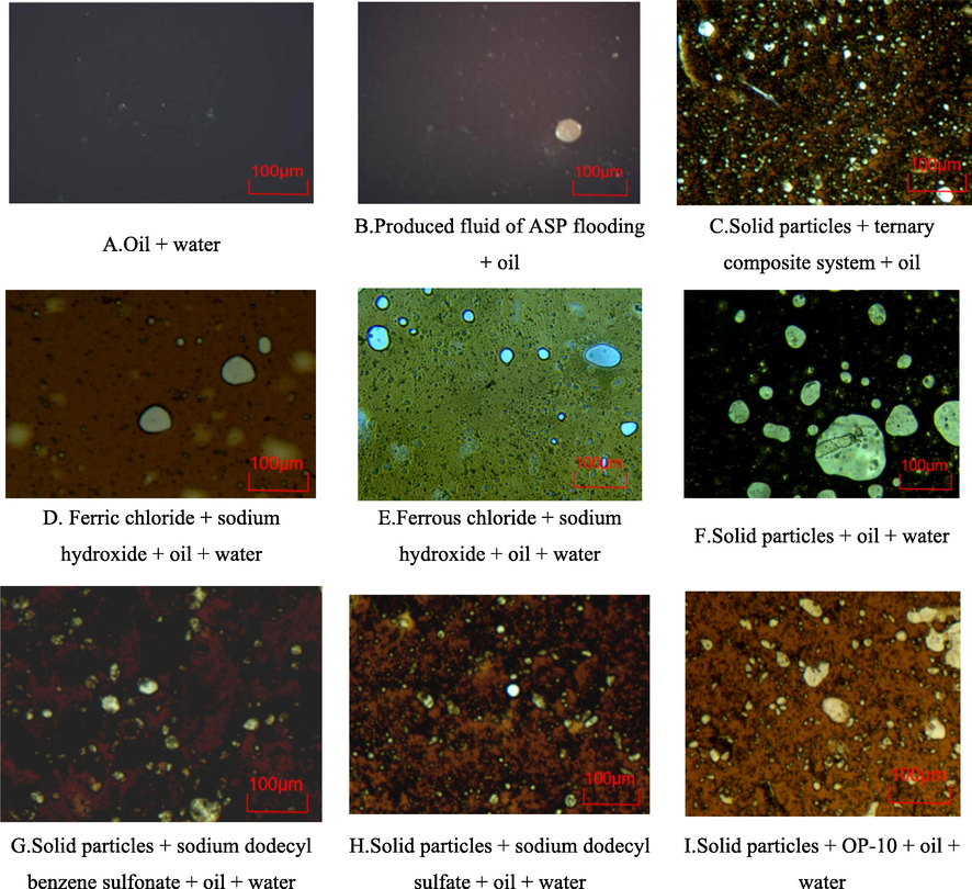 Microscopic images of the emulsifying system under different conditions.