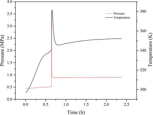 The P-t and T-t curves of the AIBN initiator.