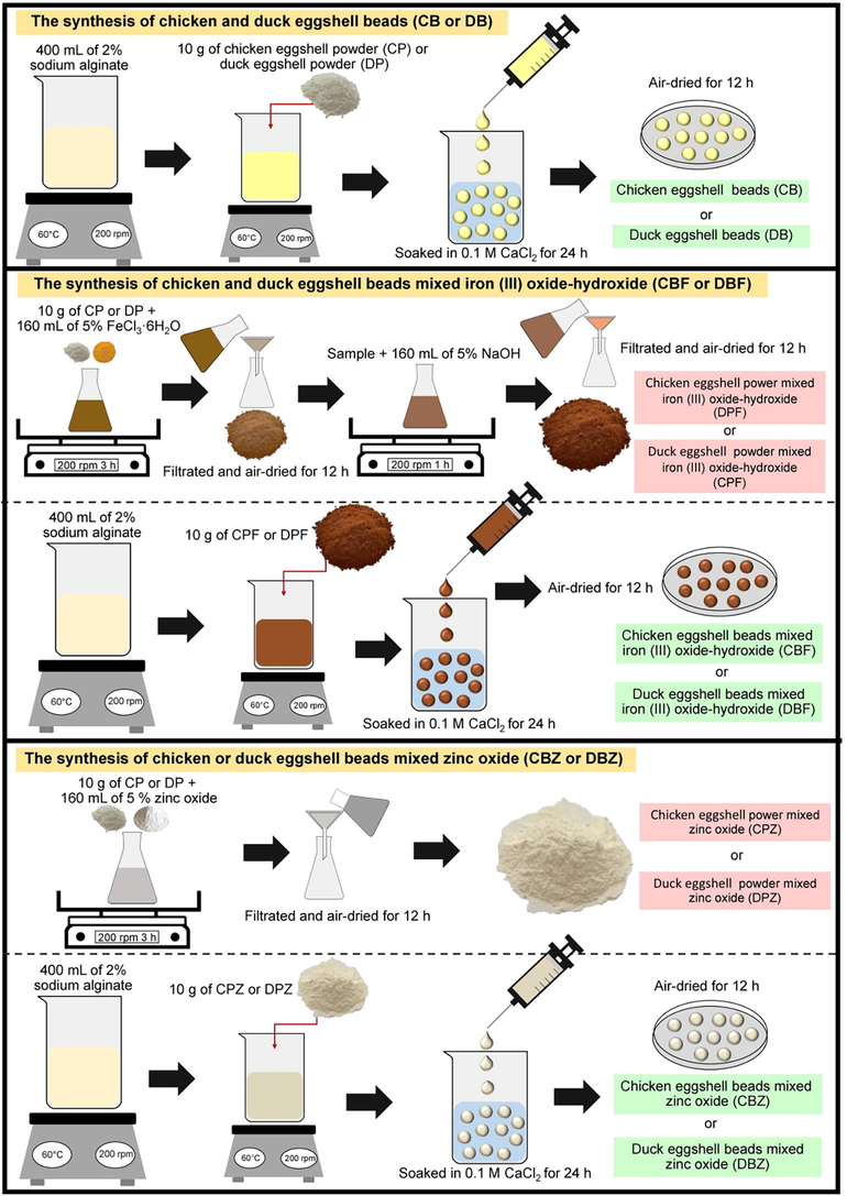 The synthesis of chicken eggshell beads (CB), duck eggshell beads (DB), chicken eggshell beads mixed iron (III) oxide-hydroxide (CBF), duck eggshell beads mixed iron (III) oxide hydroxide (DBF), chicken eggshell beads mixed zinc oxide (CBZ), and duck eggshell beads mixed zinc oxide (DBZ).