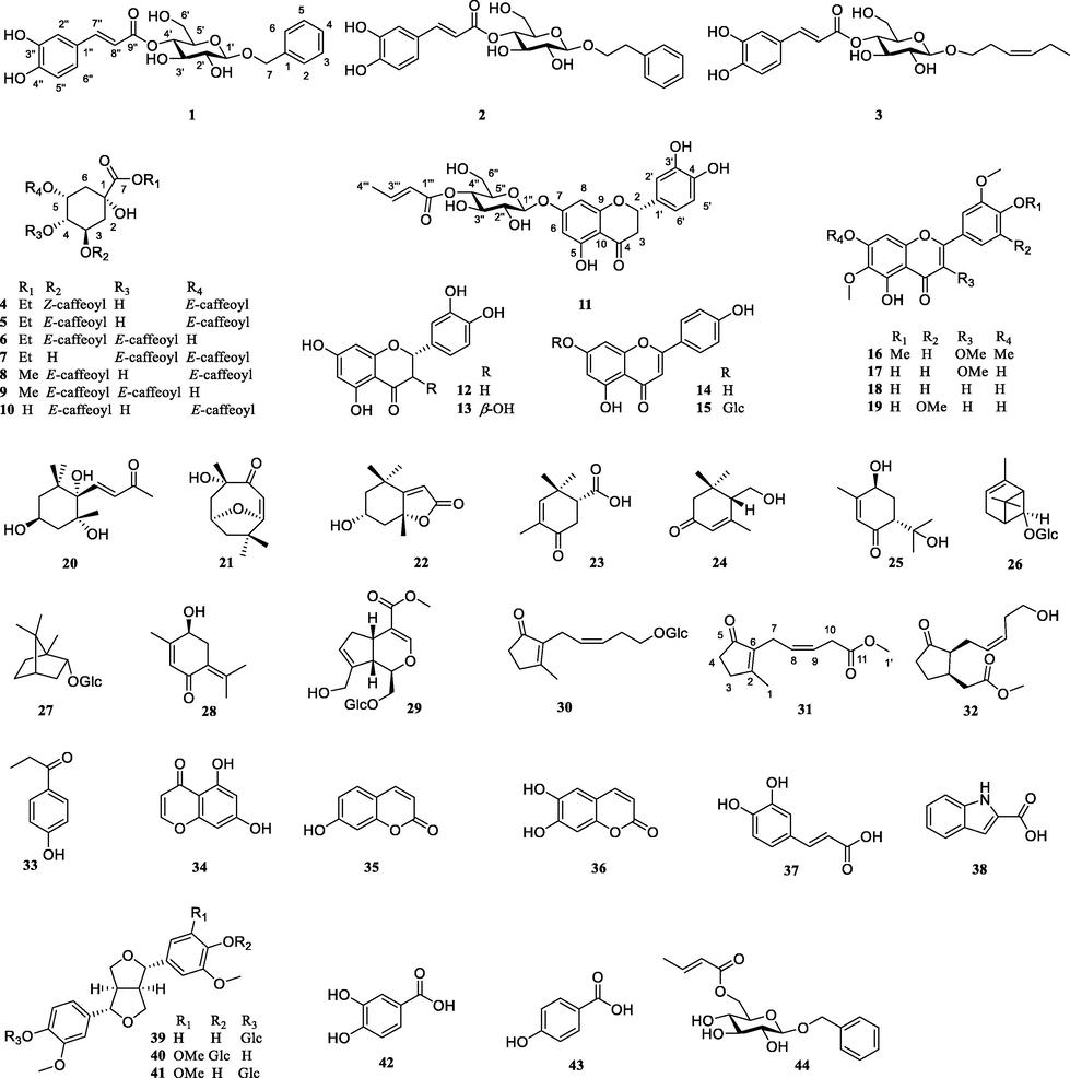 The structures of compounds 1–44.