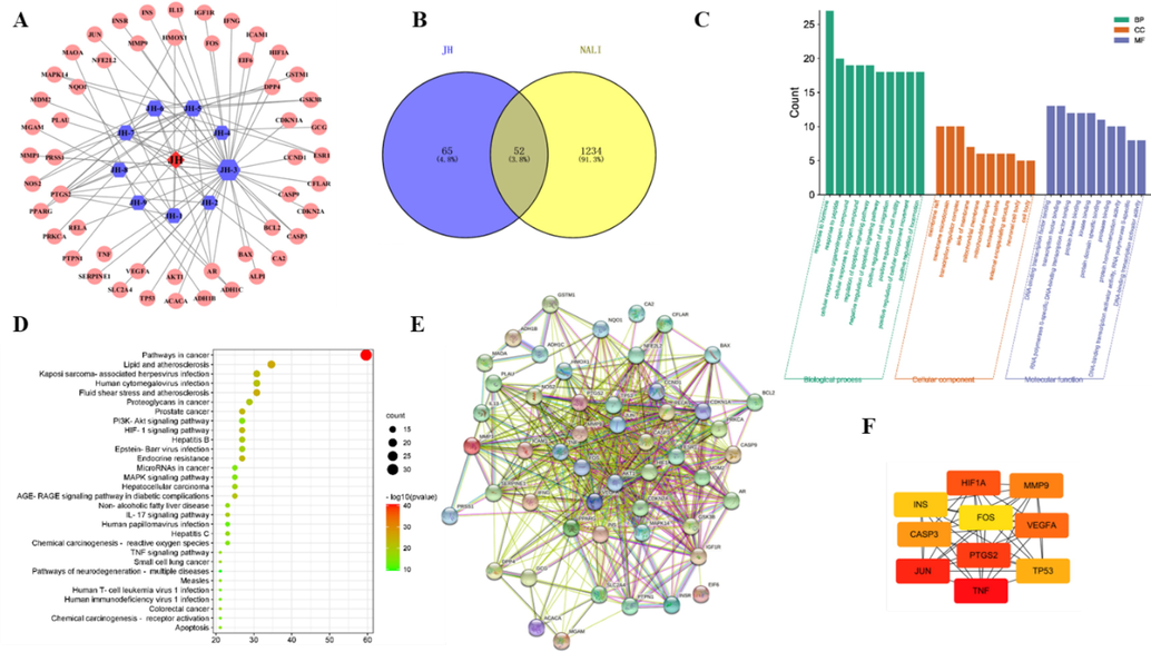 Network pharmacology analysis of JH-1 ∼ 9 and non-alcoholic liver injury. (A) Chrysanthemum-component-target network diagram. (B) Venn diagram of the com-mon targets of JH-1 ∼ 9 and non-alcoholic liver injury. (C) GO enrichment analysis of the predicted targets in Biological Process, Molecular Function and Cell Composition. (D) Bubble plot of the potential targets obtained from KEGG enrichment analysis. (E) Protein-protein target interaction network of the common targets. (F) The core target interaction diagram.