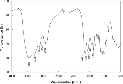 FTIR Spectra of the chitin extracted from shrimp shell waste.