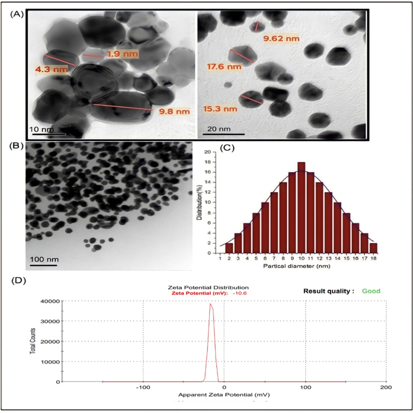 (A) HRTEM image, (B) TEM image of S.costus-@PdNPs at S.costus root extract 40 mL with 60 mL (PdCl₂)(2 ×  10 - 3 M) at 100 °C until 2 hrs. (C)corresponding size distribution graph (D) and Zeta potential of Scostus-@PdNPs.