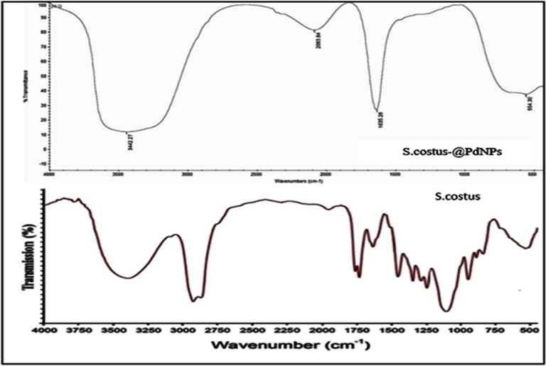 FTIR spectrum of S.costus-@PdNPs and S.costus.