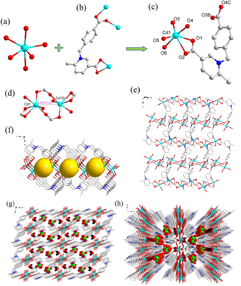 (a) The six coordinated Cd(II) center of complex 1. (b) The V-type L− ligand and its coordination modes in complex 1. (c) The asymmetric unit of 1. Symmetry codes: (B) -x, y + 1/2, -Z + 5/2; (C) ×, -y-3/2, z + 1/2. (d) The [(Cd1)2(μ2-CO2)2] dinuclear subunit in complex 1. Symmetry codes:; (A) -x, -y-2, -z + 2. (e) The 2D porous layer of 1. (f) The rectangular-shaped channels of 1. (g) and (h) The 3D supramolecular framework of 1.