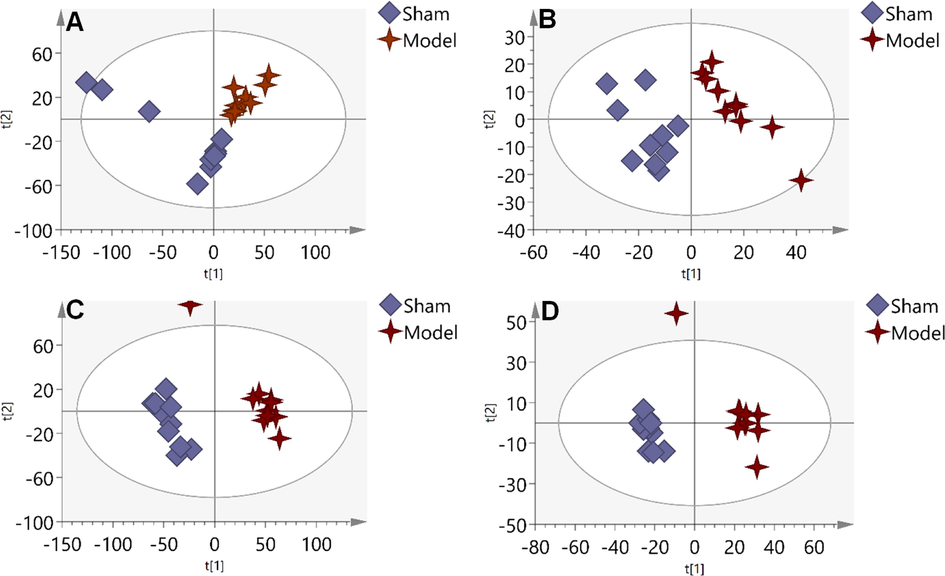 PLS-DA score plots of Sham group and Model group based on the data acquired from aqueous extracts (A, ESI+, and B, ESI-), and organic extracts (C, ESI+, and D, ESI-).