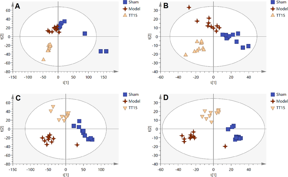 PLS-DA score plots of Sham group, Model group, and TT15 group based on the data acquired from aqueous extracts (A, ESI+, and B, ESI-) and organic extracts (C, ESI+, and D, ESI-).