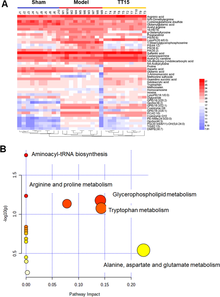 Heatmap indicated the changes in intensities of the biomarker (A) and the pathway analysis visualized by bubbles plot (B).